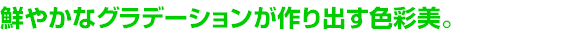 �N�₩�ȃO���f�[�V���������o���F�ʔ��B