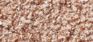 CE-205-B