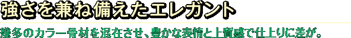 強さを兼ね備えたエレガント 幾多のカラー骨材を混在させ、豊かな表情と上質感で仕上りに差が。