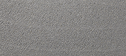 DBS-4